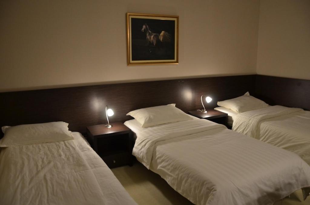 Hotel Golf Luxury Kruševac Kültér fotó